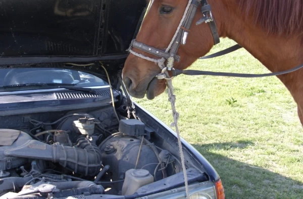 Nisu sve konjske snage iste: Šta znači KS, kW, CV, PS, HP, BHP, WHP?