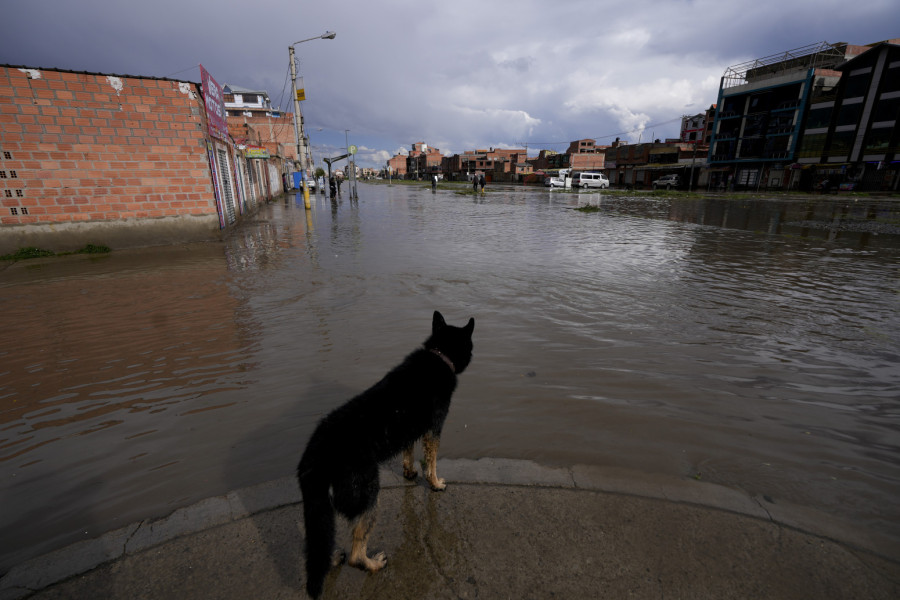 Katastrofa; Više od 50 nastradalih: Proglašena vanredna situacija FOTO