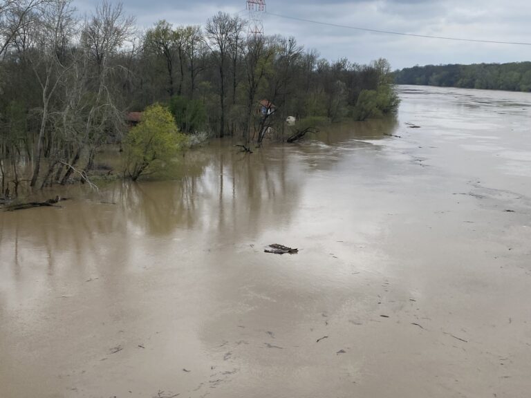 Stanje vodotokova: Sava usporeno raste, Drina opada