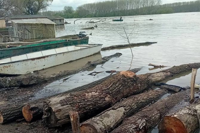Sava raste 2 cm na sat: Drama u Šapcu, reka prijeti gradu, organizovane straže duž obale