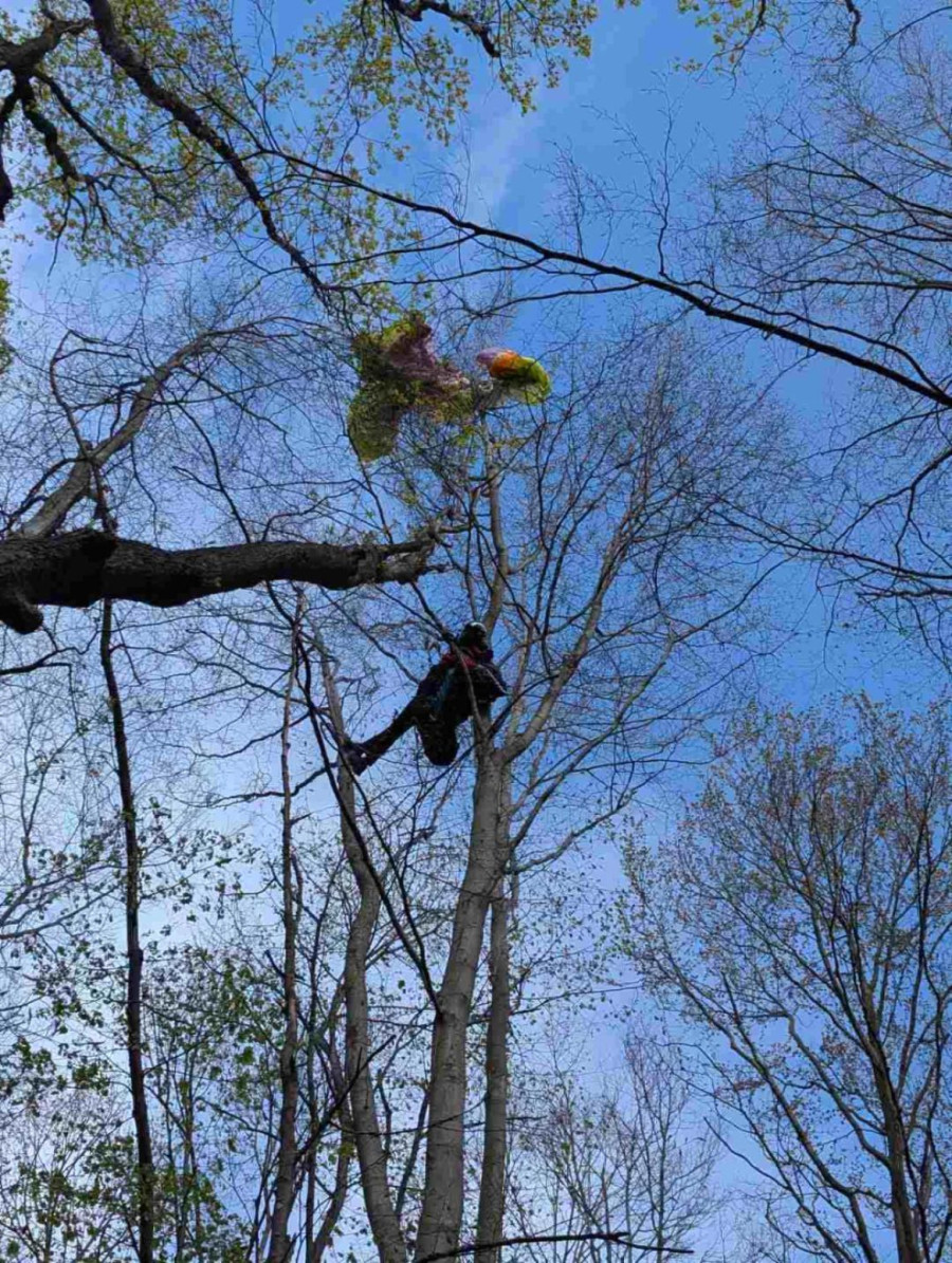 Drama na Fruškoj gori: Pripadnicima GSS stigao hitan poziv FOTO