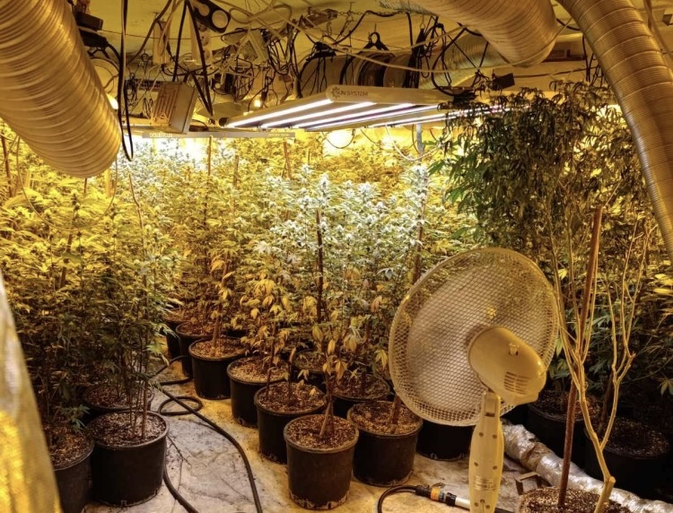 Na području Sarajeva pronađena droga milionske vrijednosti: Uhapšene tri osobe (FOTO)