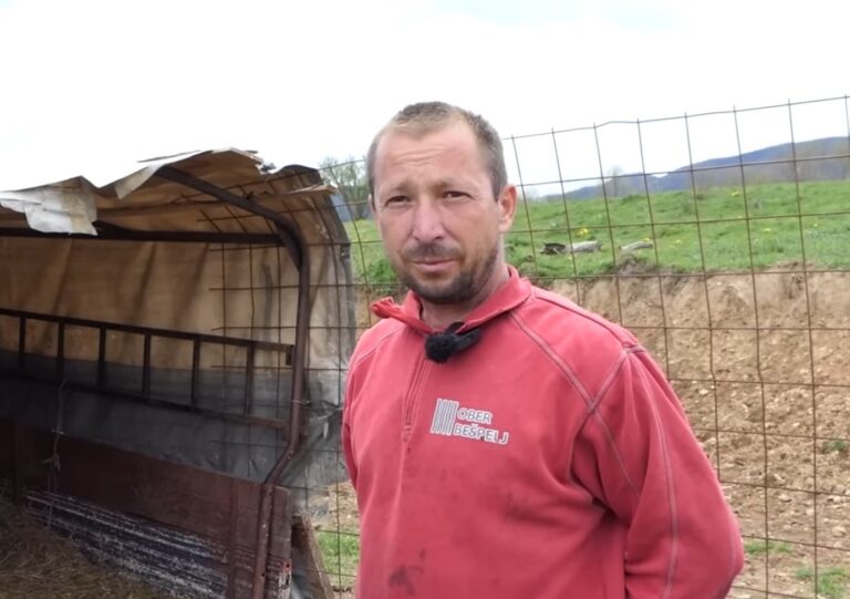 Katastrofa u selu kod Gornjeg Vakufa: Medvjed napravio pokolj u toru, mještani u strahu