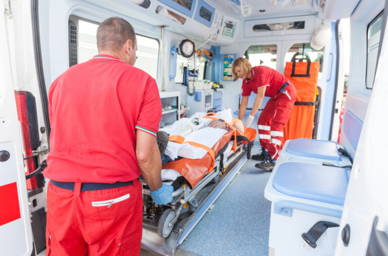 Drama u Topoli: Roj stršljenova napao trkače FOTO