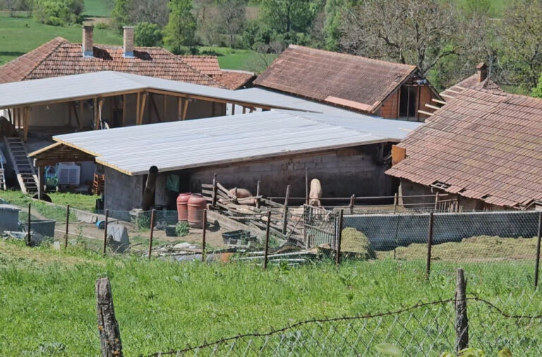 Dan posle užasa u Topoli: Ovo je domaćinstvo u kom se desila nezapamćena tragedija FOTO
