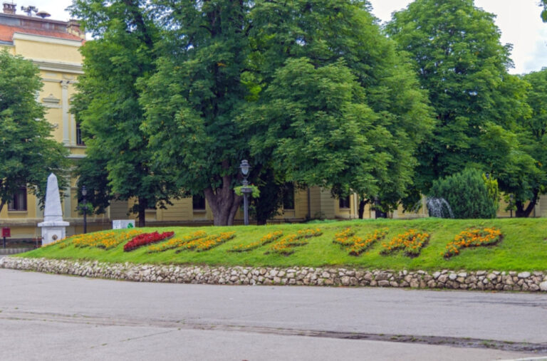 Viši sud u Zaječaru odbio i odbacio sve žalbe na ukupni izveštaj o rezultatima izbora