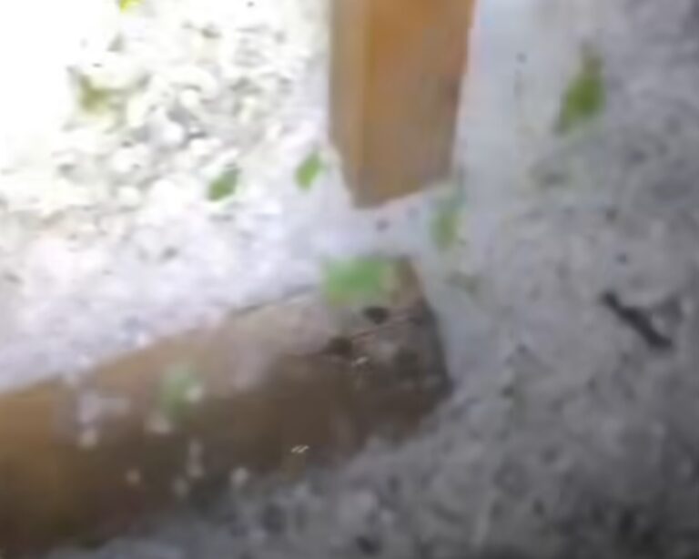 Jezivo nevrijeme u Srbiji: Tuče grad, sve se zabijelilo FOTO/VIDEO