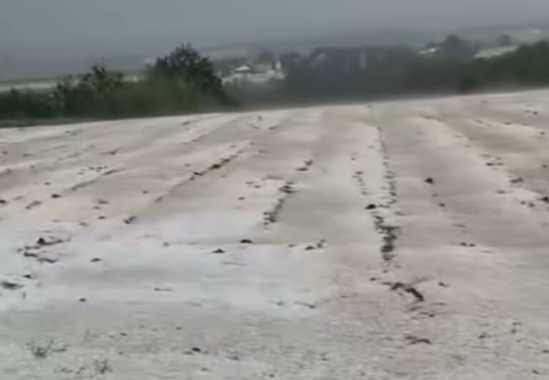 Januar ili maj?; Ljudi u nevjerici, zaleđena Srbija FOTO/VIDEO