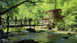 Strašna tragedija u Sanskom Mostu: Pokušao spasiti psa ali se utopio u Blihi