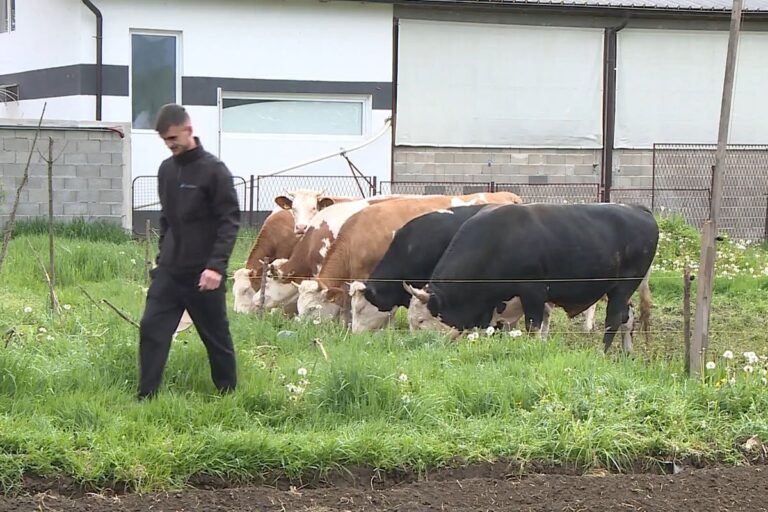 Muharem se vratio iz Njemačke u BiH i preuzeo porodičnu farmu