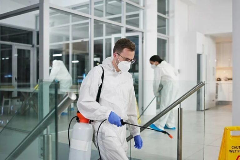 U Sarajevu niti ko kosi, niti vodu nosi: Kako je postalo normalno da deratizacija nije urađena čak dvije godine