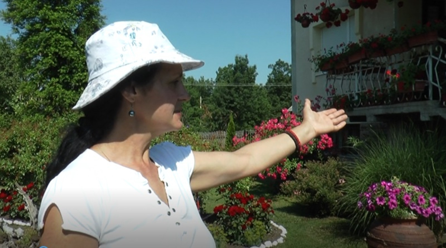 U ovoj bašti ima preko 1.000 najlepših cvetova: Verica sa svojih deset prstiju napravila raj FOTO