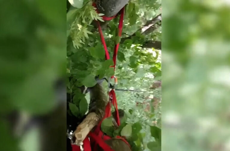 Drama na nebu iznad Čačka: Praglajderista izgubio kontrolu i pao u drveće, izvlačili ga spasioci FOTO