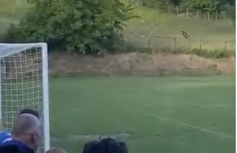 Samo u BiH: U Mionici sudija bježao kroz šljivike i livade nakon što je napadnut na utakmici