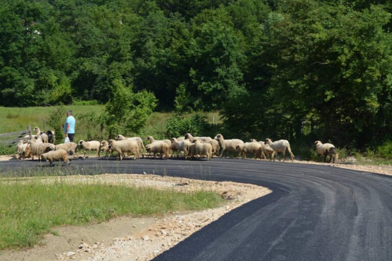 U Vukosavcima asfaltiran put: Bolja povezanost i uslovi za život