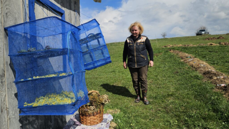 Ruskinja gaji koze na Kamenoj Gori: Profesorica Irina mijenjala grad za srpsko selo FOTO