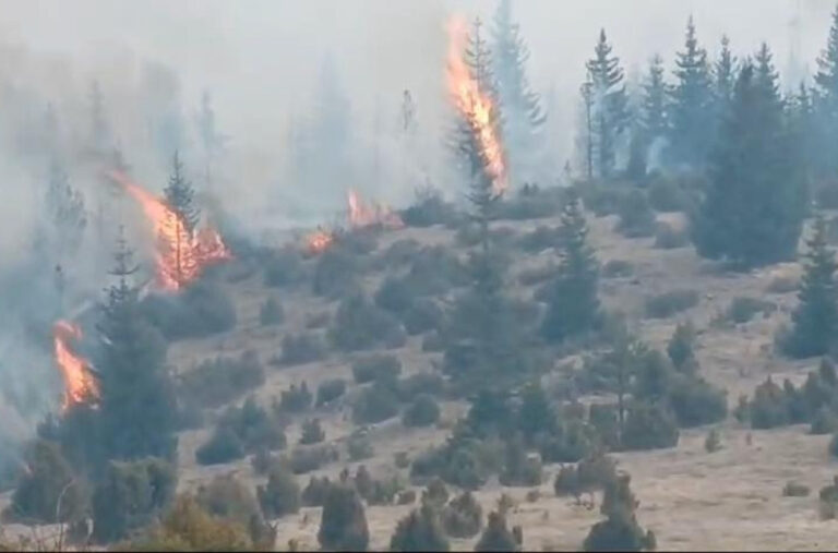 Haos kod Kraljeva: Požari na deset lokacija, na terenu preko 50 vatrogasaca