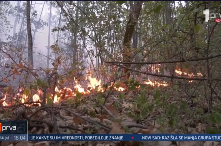 Buknuli novi požari u Topličkom kraju: Vanredna situacija i dalje na snazi VIDEO