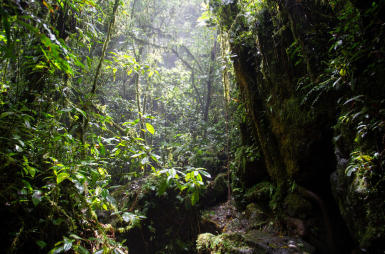 Ruskinja s ćerkama godinama živjela u pećini: Inspektori se zapanjili kada su ih pronašli VIDEO