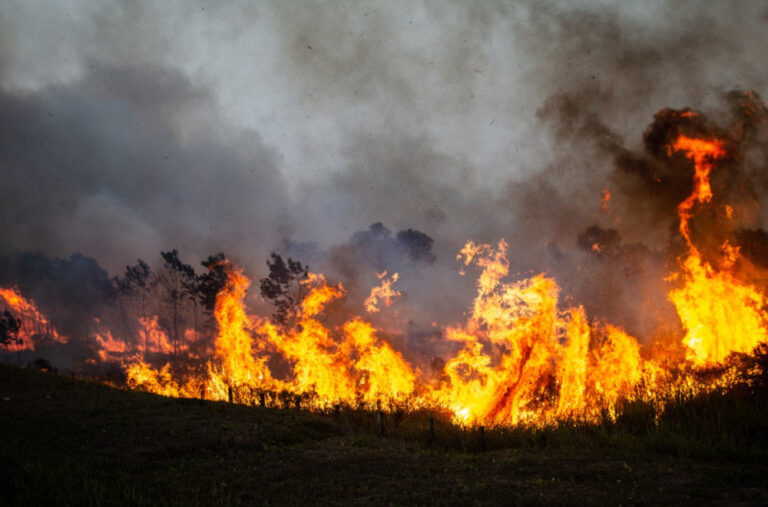 Srbija zatrpana pozivima za pomoć; MUP: Nismo u mogućnosti da se odazovemo; Prvo gasimo naše požare