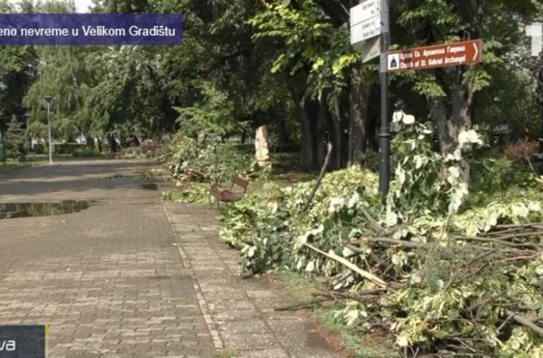 Nezapamćeno nevrijeme u Velikom Gradištu: Iščupano preko 50 stabala, vjetar nosio krovove