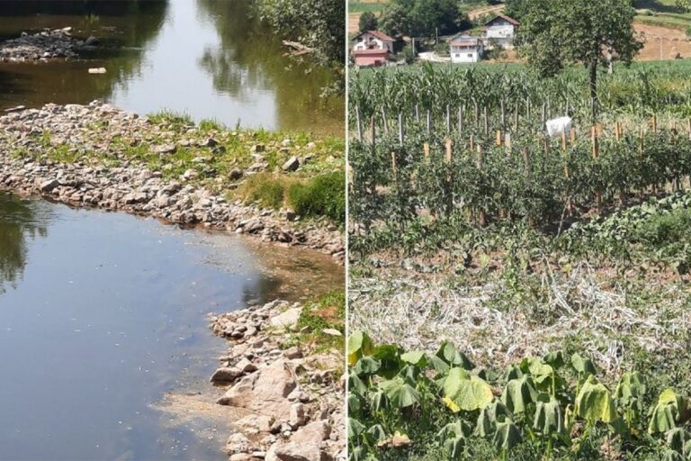 Spreča skoro presušila: Spržene bašte, ugrožen riblji fond