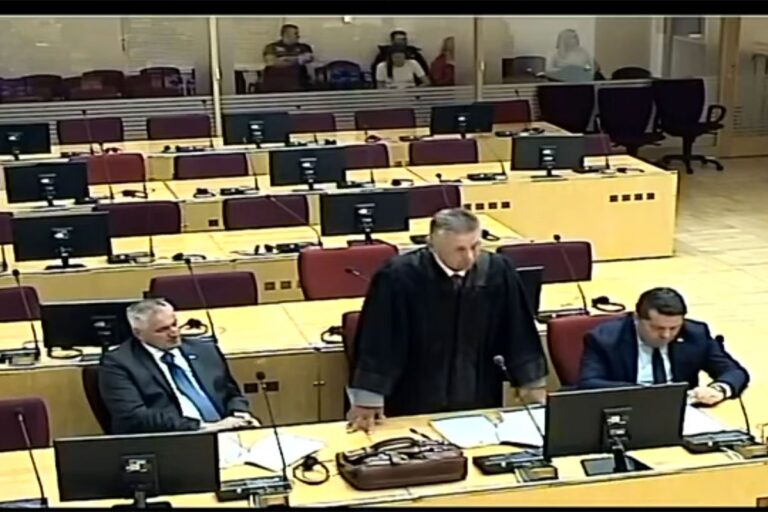 Sud BiH ukinuo pritvor Stevandiću i Viškoviću