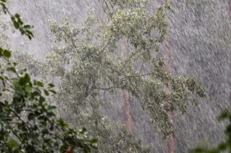 Totalni haos u Požarevcu, sve je srušeno; Snažni udari vetra, šteta ogromna VIDEO