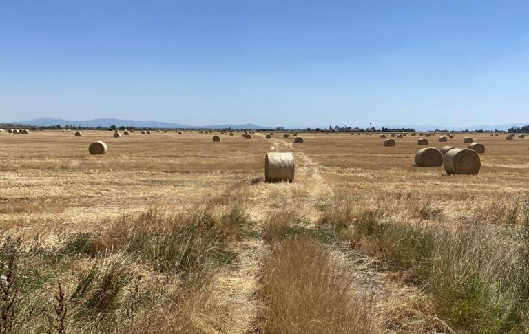 Tropski talas prži Bijeljinu: 35 stepeni, poljoprivrednici strahuju za usjeve