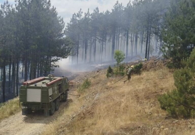 Gori Srbija: Registrovano 620 požara, povređeno šestoro ljudi; Upućen važan apel građanima