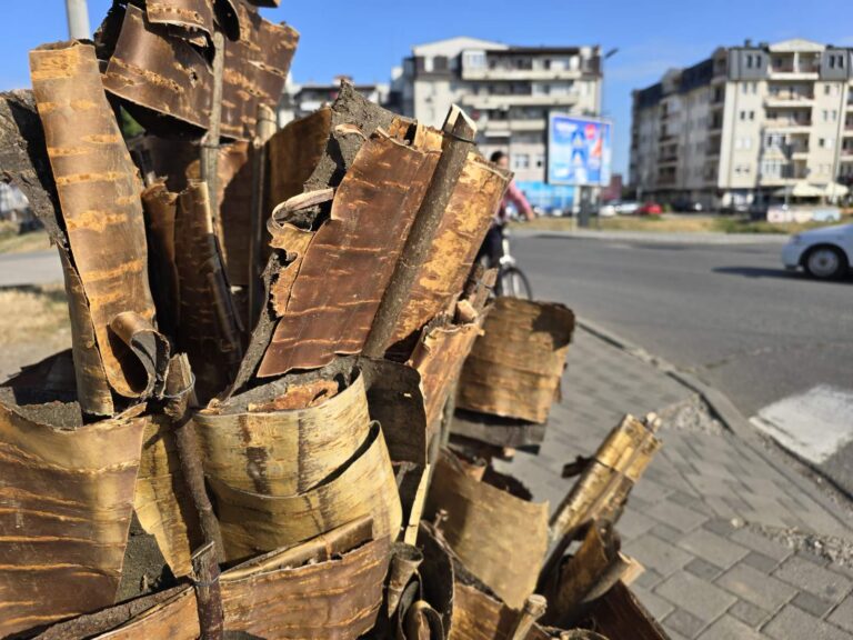 Ulice Bijeljine preplavljene prodavcima lila: Provjerili smo cijene (FOTO)