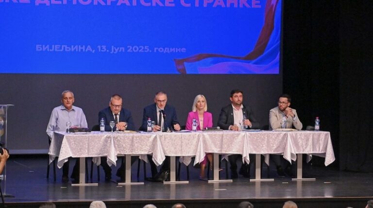 Poznato je ko će voditi SDS u narednih 90 dana