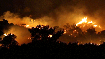 Gori u Grčkoj: Naređena hitna evakuacija VIDEO