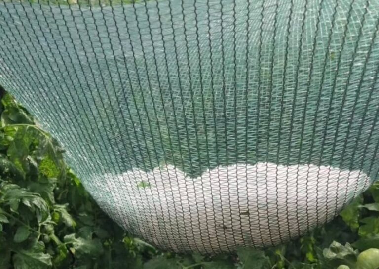 Još jedan grad na udaru jakon nevremena; Vetar nosi sve pred sobom, šteta je ogromna VIDEO