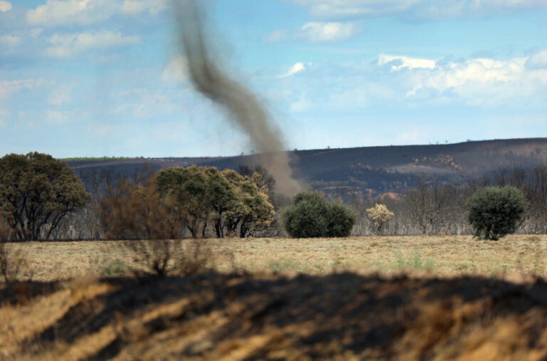 Beograđani u šoku – uočen je „pustinjski đavo“ FOTO/VIDEO