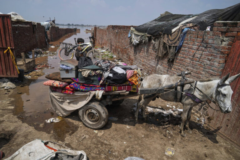 Katastrofa: Više od 800 mrtvih FOTO/VIDEO