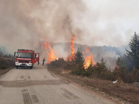 Dramatične slike stižu iz Crne Gore, požar izbio i u Podgorici: Evakuacija uveliko traje