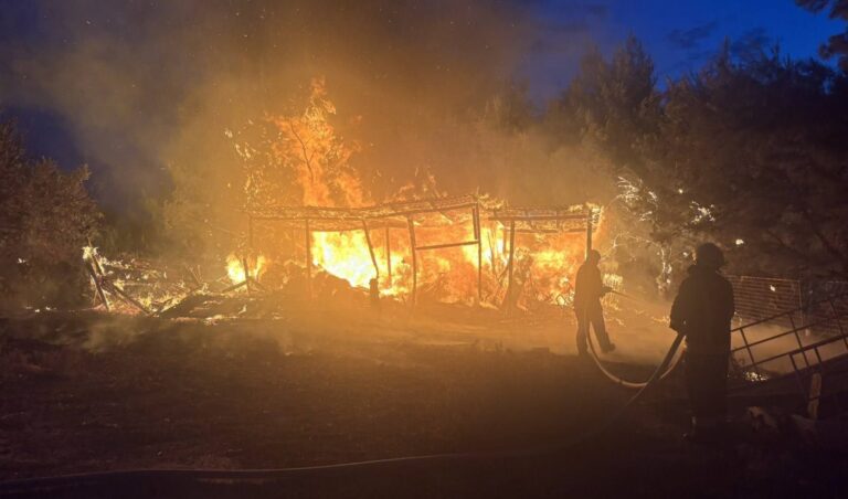 Albanac glavni akter fotografije koja je obišla svijet: Srbi ostavili na hiljade komentara VIDEO