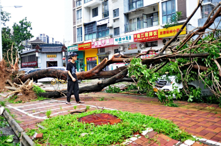 Katastrofa je stigla: Bez struje više od milion i po ljudi; Hiljade kuća ostalo bez krovova FOTO/VIDEO