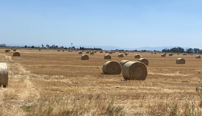 Pred nama novi toplotni talas: Temperature i do 41 stepen