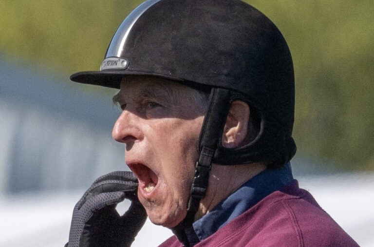 Britanski princ uhvaćen u laži: Otkriveni tajni mejlovi VIDEO