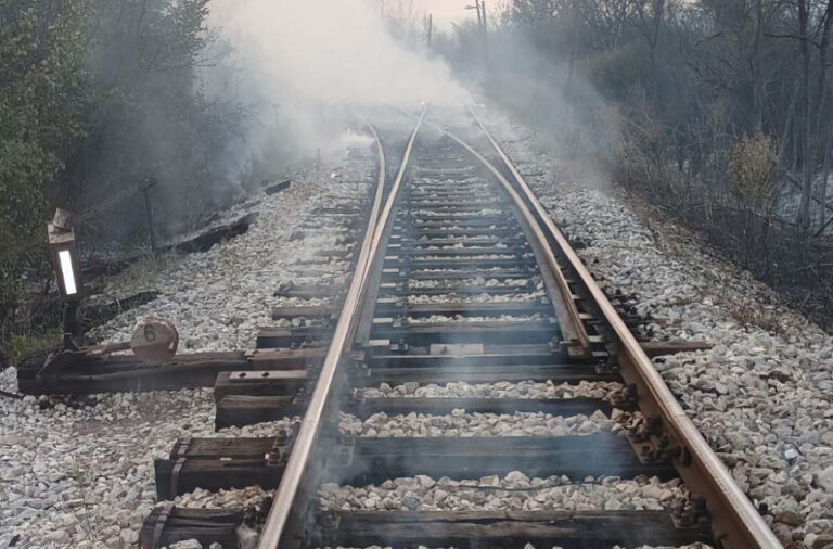 Drama između Zaječara i Negotina: Požar zaustavio vozove FOTO