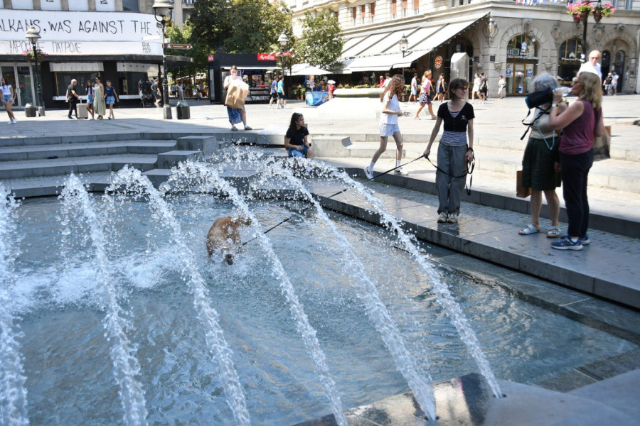 Tiktokerka okusila život u Beogradu, pa rešila da spakuje kofere: Nema ko da mi pere veš... VIDEO