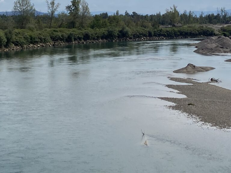 Janja: Pronađeno beživotno tijelo u rijeci Drini