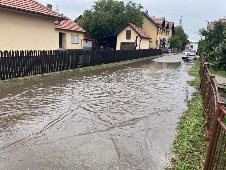 Dobrodošli u vodeni park Laze Kostića: Gradske oce za uvo, pa nek’ preplivaju 20 metara slobodnim stilom