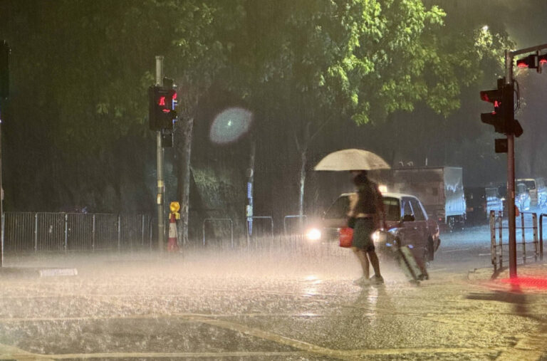Obilne padavine napravile haos na putevima: Oborene bandere, stabla prepriječila puteve