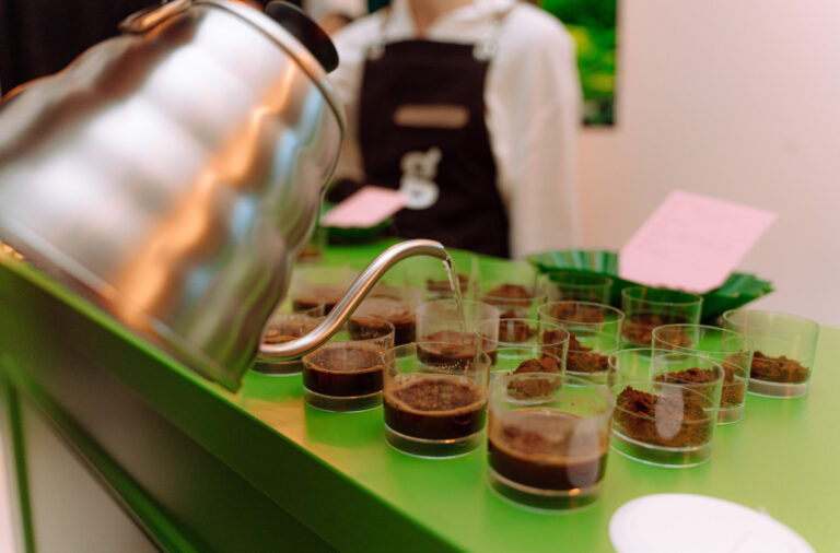 Svjetski dan kafe: Otkrijte sve što možda niste znali o njenom putu od zrna do šoljice