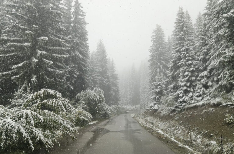 Više od pola metra snijega, a onda 25 stepeni? Meteorolog otkriva kakvo nas vrijeme čeka VIDEO