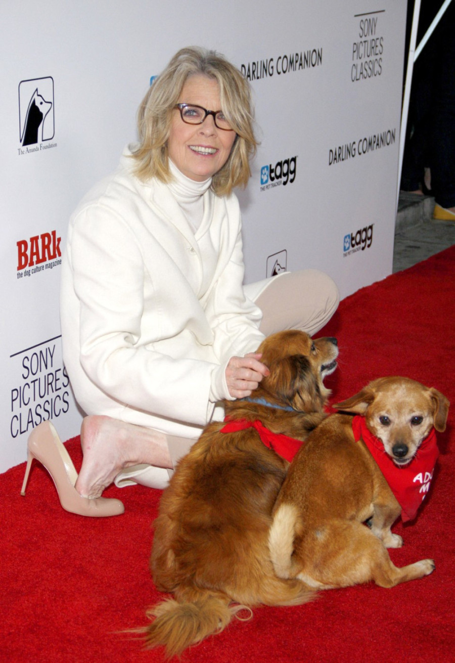 Usvojila decu u šestoj decenij, a nije želela da se uda: Uloga koja je napisana samo za Dajanu Kiton FOTO