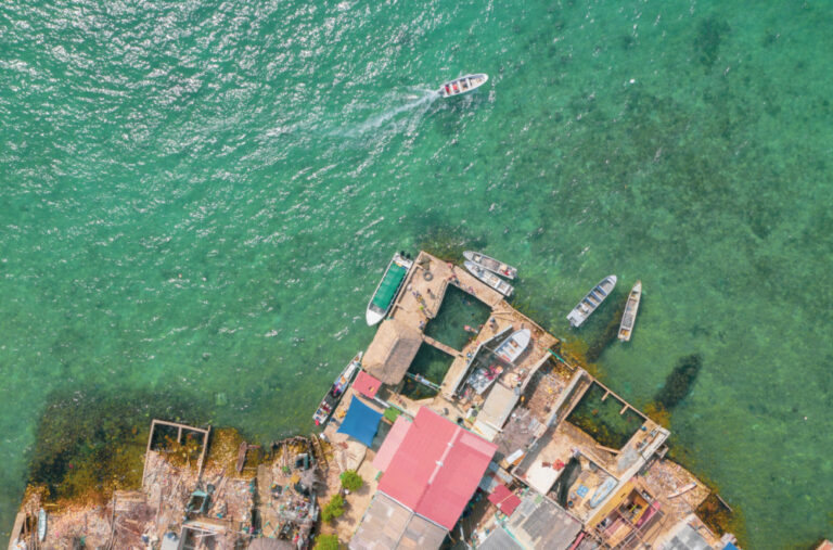 Horor na turističkoj atrakciji: Ajkula brutalno napala dječaka u improvizovanom bazenu